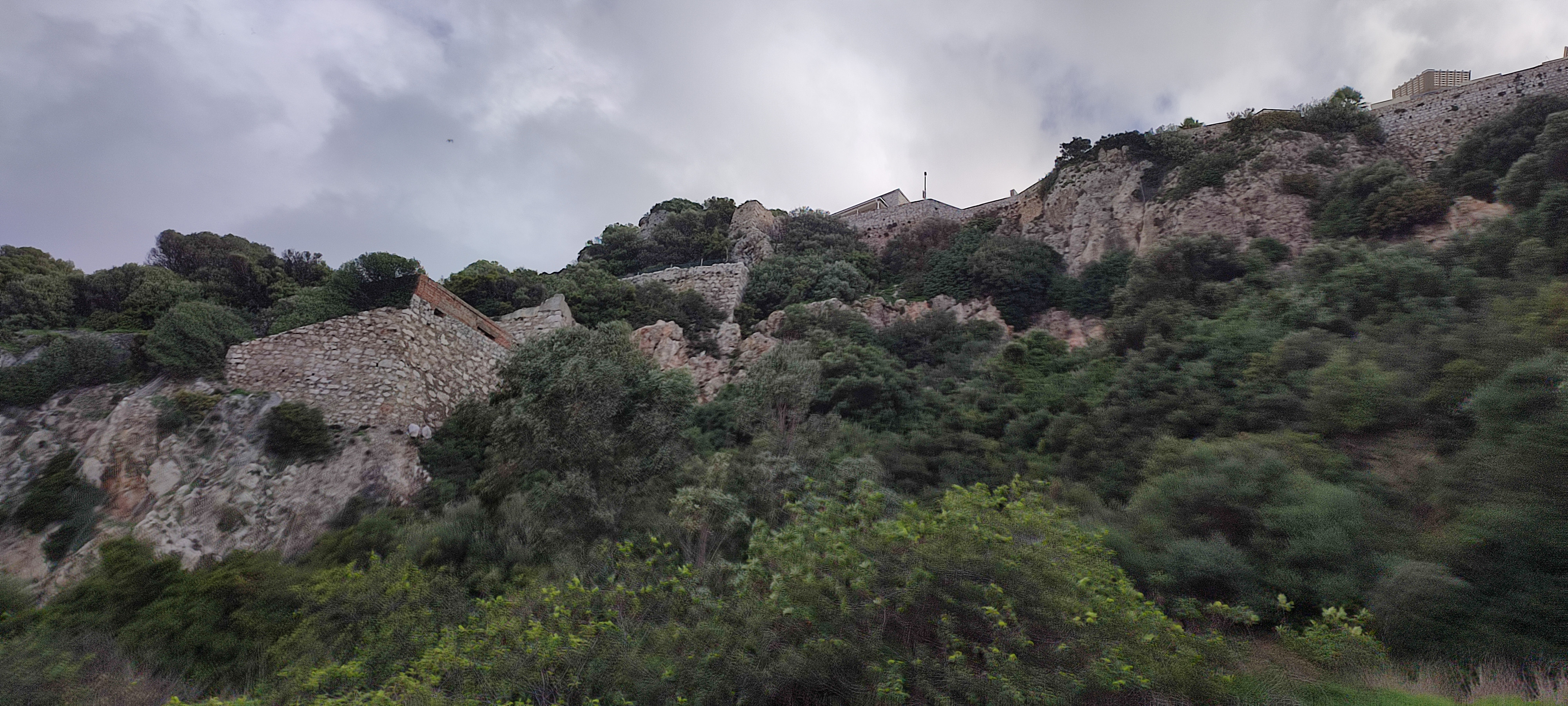 Defensive wall from Parsons Lodge to Buena Vista Barracks Image